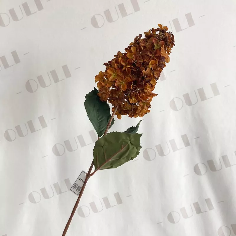 ఎండిన టచ్ పగోడా సిల్క్ హైడ్రేంజ