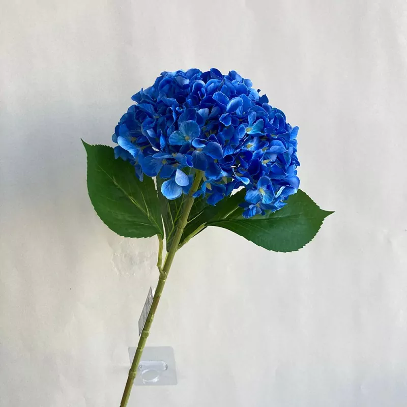 యువి